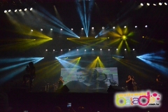 safadao-1210-15