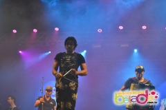 safadao-1210-99