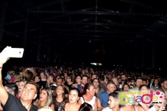patroas-5