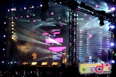 festeja-0111-33