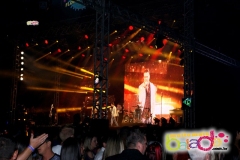 festeja-0111-44
