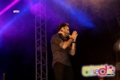 festeja-0111-61