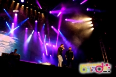 festeja-0111-66