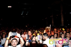 festeja-0111-71