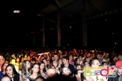 festeja-0111-72