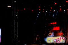 festeja-0111-74