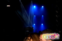 festeja-0111-77