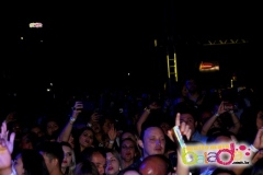 festeja-0111-80
