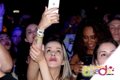 festeja-0111-81