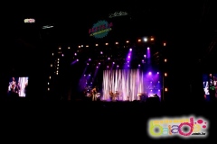 festeja-0111-88