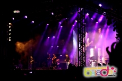 festeja-0111-89
