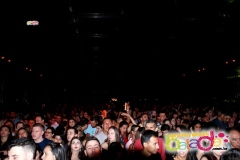 festeja-0111-96