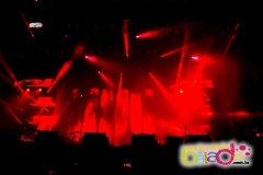 festeja-0111-99