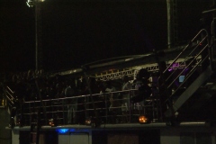 foliaMM-2016-104