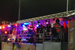 foliaMM-2016-4