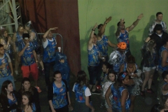 foliaMM-2016-45