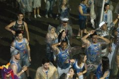 foliaMM-2016-51