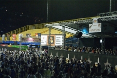 foliaMM-2016-80
