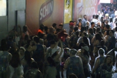 foliaMM-2016-84