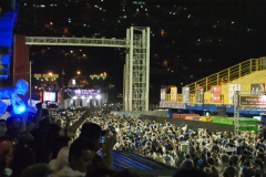 foliaMM-2016-87