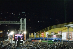 foliaMM-2016-91