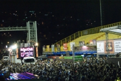 foliaMM-2016-92