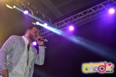 Suwing-2411-138